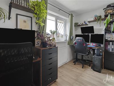 Picture 12